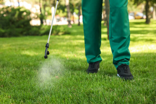 Best Flea Control Services  in Crescent Springs, KY