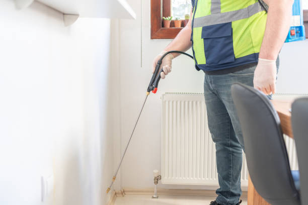 Wasp Removal Services in Crescent Springs, KY
