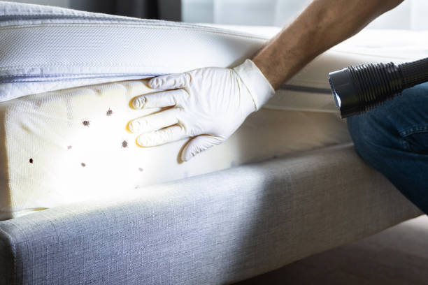 Best Bed Bug Extermination  in Crescent Springs, KY