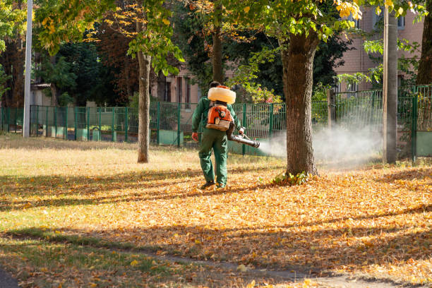 Best Residential Pest Control  in Crescent Springs, KY