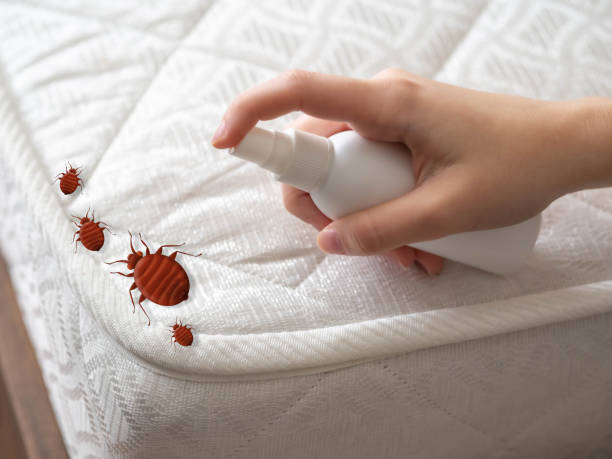 Best Affordable Pest Control Services  in Crescent Springs, KY