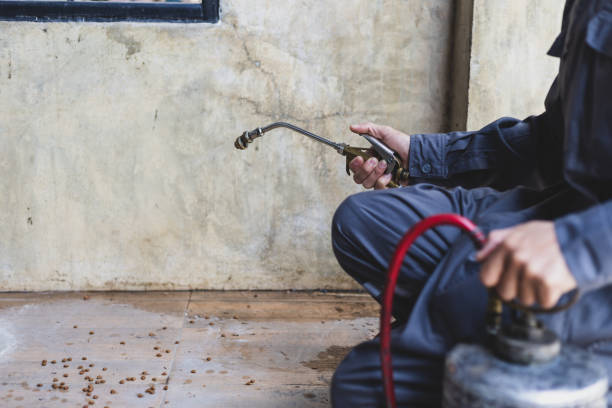 Best Termite Control Services  in Crescent Springs, KY