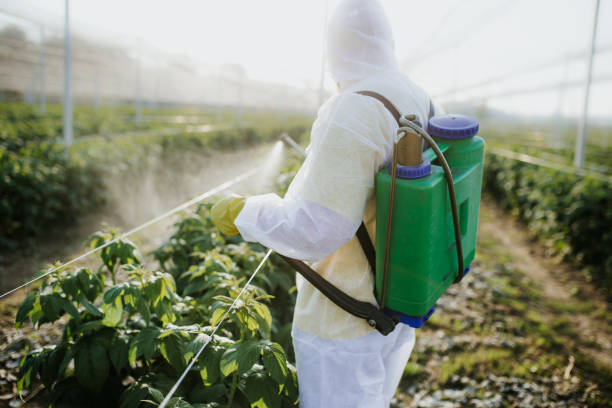Best Pest Control Near Me in Crescent Springs, KY